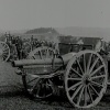 Feldkanone_Ord_1903[1]