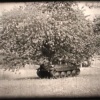 41 Jagdpanzer Hetzer in Fliegertarnung