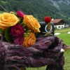 p041-ts-blumen-alpenblick